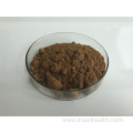 Hot Sell Agaricus Bisporus Mushroom Extract Powder